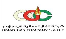 Secondary logo